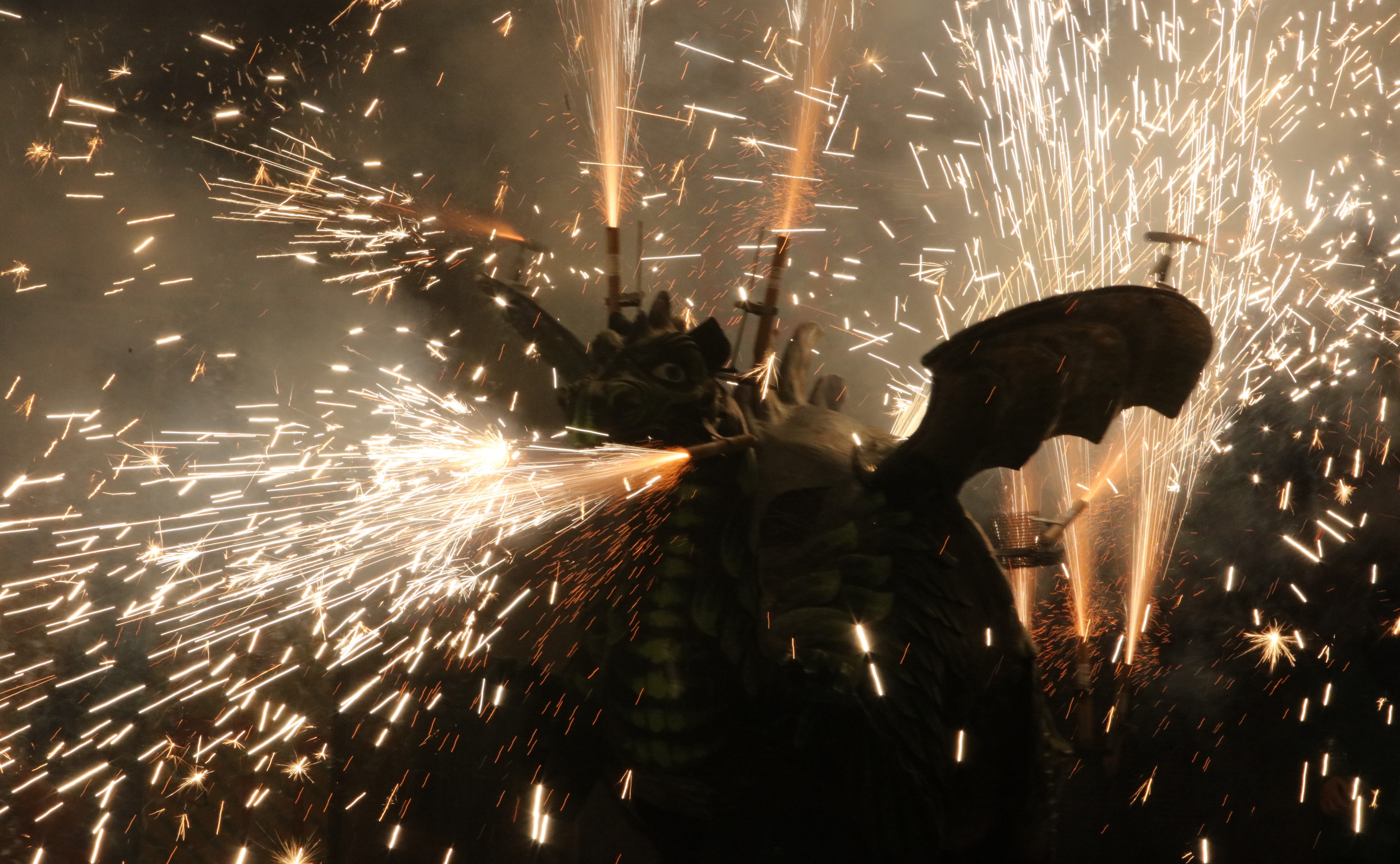 Cercavila de Foc de la Nit de Sant Joan