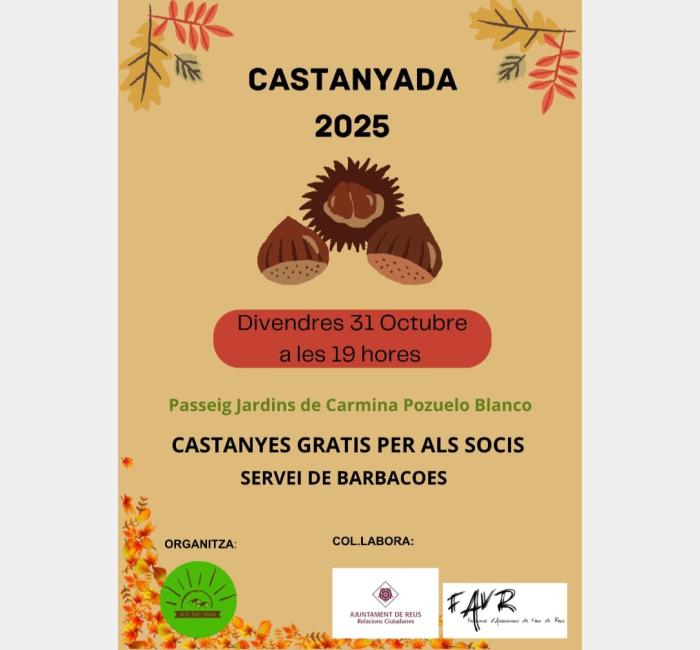 castanyada_sol_i_vista_25.jpg